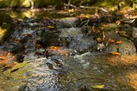 Property for sale in Mecklenburg County, Virginia