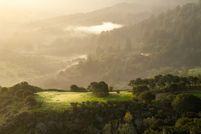 Property for sale in Monterey County, California