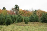 Undeveloped Land for sale in Polk County, Wisconsin