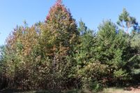 Property for sale in Prince Edward County, Virginia