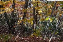 Property for sale in Ashe County, North Carolina