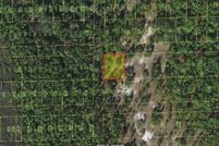 Undeveloped Land for sale in Osceola County, Florida