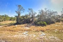 Undeveloped Land for sale in Polk County, Florida