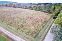 Undeveloped Land for sale in Grainger County, Tennessee