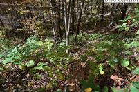 Property for sale in Ashe County, North Carolina