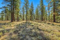 Property for sale in Nevada County, California