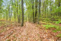Undeveloped Land for sale in Osceola County, Michigan