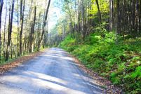 Undeveloped Land for sale in Susquehanna County, Pennsylvania