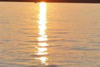 Property for sale in Allen County, Kentucky