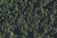 Residential Property for sale in Hart County, Kentucky