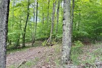 Property for sale in Tucker County, West Virginia
