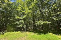 Property for sale in Preston County, West Virginia