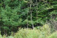 Property for sale in Tucker County, West Virginia