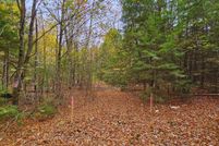 Undeveloped Land for sale in Penobscot County, Maine