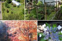 Property for sale in Yancey County, North Carolina