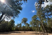 Undeveloped Land for sale in Livingston Parish, Louisiana