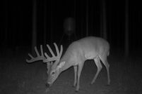 Property for sale in Dougherty County, Georgia