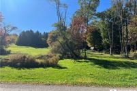 Undeveloped Land for sale in Chautauqua County, New York
