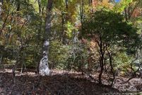 Property for sale in Henderson County, North Carolina