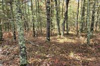 Undeveloped Land for sale in Newaygo County, Michigan
