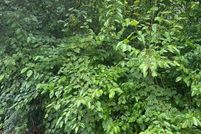 Property for sale in Philadelphia County, Pennsylvania