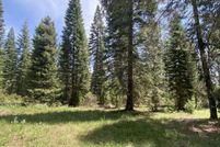 Undeveloped Land for sale in Siskiyou County, California