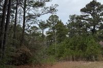 Undeveloped Land for sale in Jasper County, Texas