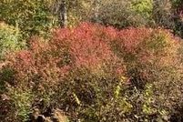 Property for sale in Macon County, North Carolina