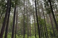 Property for sale in Amelia County, Virginia