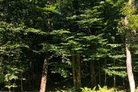 Property for sale in Wayne County, Pennsylvania