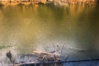 Property for sale in Limestone County, Alabama