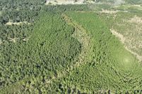 Property for sale in Beauregard Parish, Louisiana