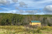 Undeveloped Land for sale in Allegany County, New York