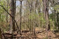 Undeveloped Land for sale in Tallapoosa County, Alabama