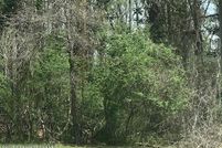 Property for sale in Tallapoosa County, Alabama