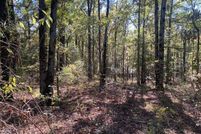 Property for sale in Lamar County, Alabama
