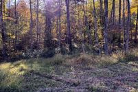 Property for sale in Barbour County, West Virginia