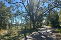 Property for sale in Winston County, Alabama