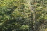 Property for sale in Richmond County, New York