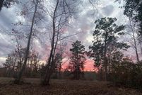 Undeveloped Land for sale in Anderson County, Texas