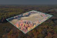 Property for sale in Newaygo County, Michigan