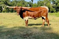 Property for sale in Collin County, Texas