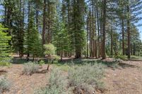 Property for sale in Nevada County, California