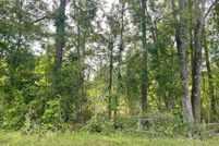 Undeveloped Land for sale in Greene County, Mississippi