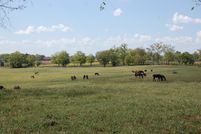 Property for sale in Bourbon County, Kentucky