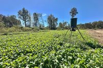 Property for sale in Copiah County, Mississippi