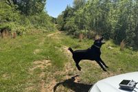 Property for sale in Oconee County, Georgia