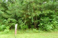 Undeveloped Land for sale in Coweta County, Georgia