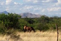 Property for sale in Cochise County, Arizona