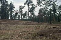 Undeveloped Land for sale in Jasper County, Texas